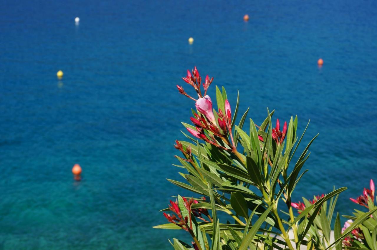 Layla - Intermezzo With Sea View In Center Of